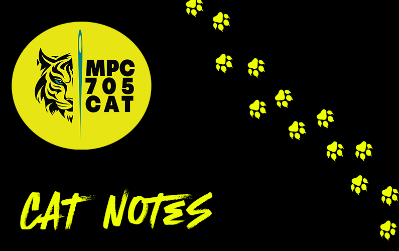CAT Notes Inter-Local Town Hall, 7/13