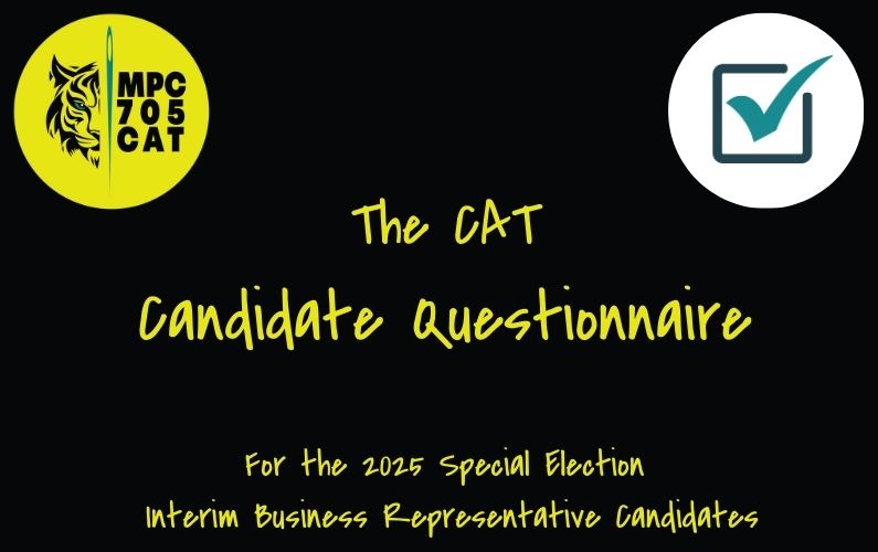 The CAT (Business Rep) Candidate Questionnaire